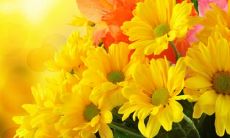 熬过去就是开心的句子