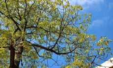 描写开心的句子30字 一段话描写开心的心情30字