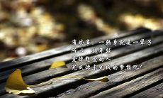 关于爱情思念的句子