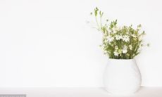 最美青年的座右铭