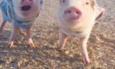 最搞笑的座右铭