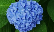 珍惜亲情的句子说说心情短语