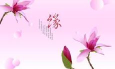 关于缘分的优美句子