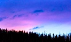 表示喜悦开心开怀祝福的句子 祝心情喜悦的句子