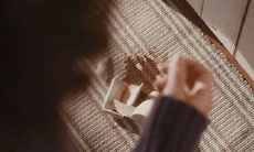 对情人节失望的句子