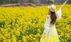 春游表达开心的句子