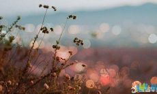 表示要珍惜不要让后悔的句子