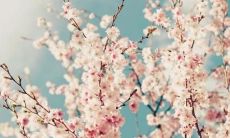 让人比较开心的句子