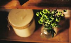 说明一天开心的句子