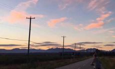 工作上对领导失望的句子