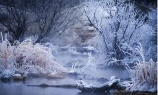 描写冬天景色优美句子