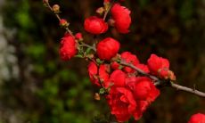 给客户关心问候的短信