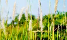 给同事早安问候语短信