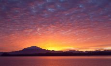 求婚女朋友的爱情句子