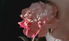 成为第一名的感悟