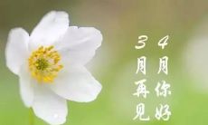 三月再见四月你好的早安句子