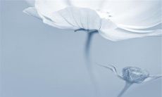 经典说说别人必评第十三期