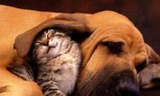 逗人开心的有趣句子