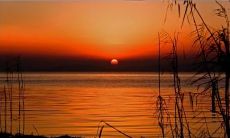 表达人生感悟的句子