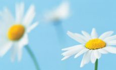 人生路上感恩有您的句子