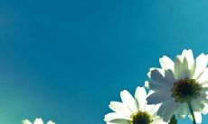 表白可以用的情话开心句子