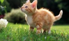 玩的高兴还是开心的句子