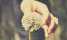 最潮最火的简短微信签名