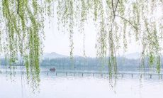 端午节感恩的句子