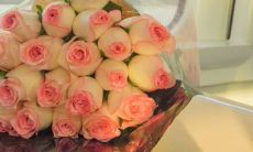 关于生活的幸福句子