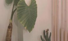 温柔到爆的神仙励志句子