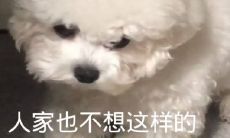 全新的很污的开车的文案