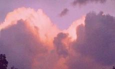 温柔小众的情话精选