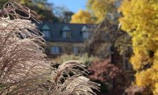 表达开心快乐的句子