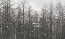 爱世界感到开心