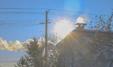 感恩世界的句子