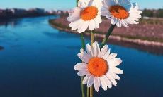 英语竞赛口号大全