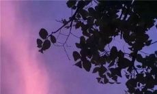 心烦一只香烟的句子