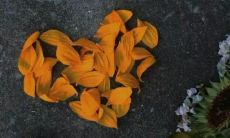 听过后让你觉得心酸的句子