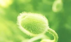 想自己朋友过得开心的句子 如何让朋友开心的句子