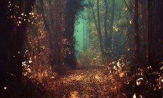 身心疲惫而无所适从，满怀担忧的心情在内心深处肆虐着，伴随着被撕裂的越来越强烈的疼痛