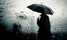 探寻唯美伤感情感的世界：一系列令人动容的句子集锦