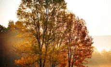 用形容词和副词丰富句子的表达，形容非常愉快、极有意义的一天：充满喜悦、欣喜若狂、惊喜不断、美好无限、兴高采烈、快乐洋溢、舒心惬意、颇具意义的一天