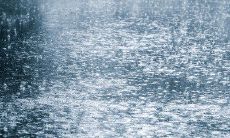 每周四的定期客户问候短信：为您带来温馨问候与最新资讯