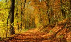 一串触动心弦的句子，描绘深刻感慨的亲情情感，让人心生感慨！