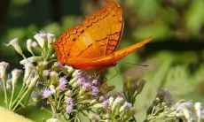 每天早晨发出的关心问候短信，为您带来温暖和舒适感受