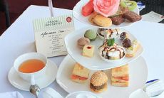 亲情，这种无可替代的情感，在我们生命中扮演着独一无二的角色——无可否认地证明了我们有着一些最真实、最可靠的人