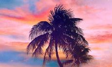 细腻描写亲情关怀，提醒人们珍视家庭纽带、彰显亲情价值的标题