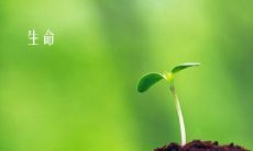 珍惜生命、爱护自己——一个鼓励人们珍爱自己生命的座右铭