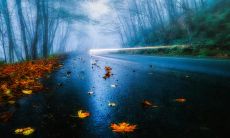 流淌着亲情和幸福的甜蜜语句 ─ 迎接我们温馨的家庭