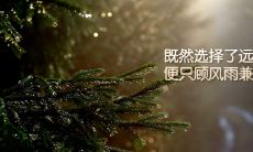 一份包含许多励志座右铭的全面大全